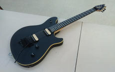 エレキギター|EVH