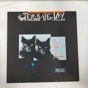 LP JAZZ|OWL