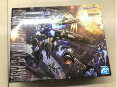 プラモデル　MG　1/100　ASW-G-XX|BANDAI
