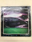 LP RRR011　未開封|HOWEVER