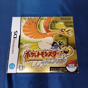 DSソフト|NINTENDO