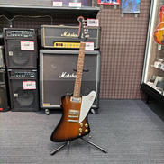 エレキギター|GRECO