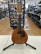 ビンテージマンドリン！|C.F. MARTIN