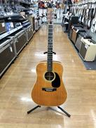 サイド・バックがハカランダの単板|JUMBO