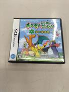 DSソフト|NINTENDO