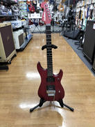 エレキギター・その他ボディタイプ|WASHBURN