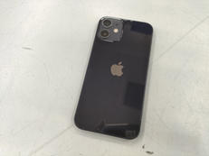 docomo iPhone12 mini|APPLE