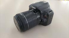 デジタル一眼レフ|CANON