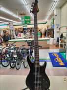 エレキベースその他|ARIA PROⅡ