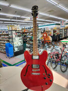 その他ボディタイプ|EPIPHONE