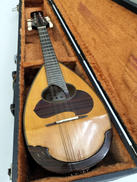 マンドリン|落合忠男