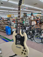 SGタイプ|PHOTOGENIC