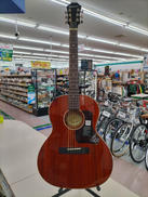 エレアコ|EPIPHONE