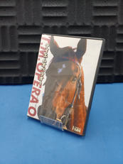 テイエムオペラオー パーフェクトゲーム 2000|PIONEER