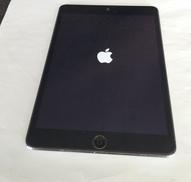 IPAD MINI|APPLE