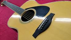 アコースティックギター|YAMAHA