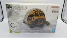 ヘルマンリクガメ フィギュア部屋んぽVER.|BANDAI SPIRITS