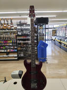 エレキベース|ARIA PRO II