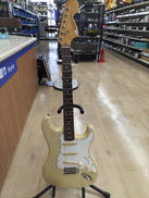 ※こちらは店頭受け取りのみです。|FERNANDES