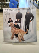 LPレコード|ブートレグ