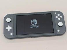 SWITCH LITE|NINTENDO