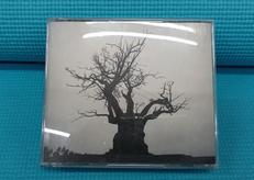 SEKAI NO OWARI 2010-2019(通常盤)|(株)トイズファクトリー