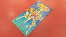 中島えりな / WEDDING WARS -愛は炎-|ケイエスエス販売