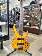 エレキベース|IBANEZ