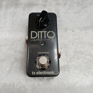 ルーパー|TC ELECTRONIC