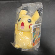 ポケモン|ポケモン