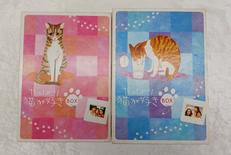 DVDボックス|フジテレビ