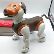 自立型ペットロボット　アイボ　ソニー|SONY