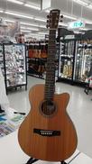 アコースティックギター|MORRIS