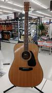 アコースティックギター|MORRIS