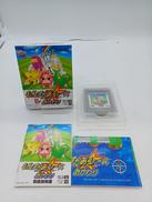 GAMEBOY COLORソフト|コーエー