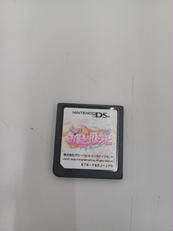 DSソフト|NINTENDO