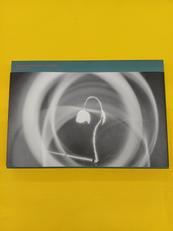 緑黄色社会×日本武道館 “20122022"|ソニー・ミュージックソリューションズ