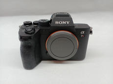 ミラーレス一眼|SONY