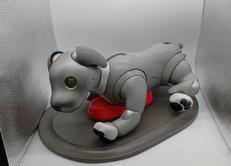 AIBO|SONY