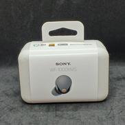ノイズキャンセリングイヤホン|SONY