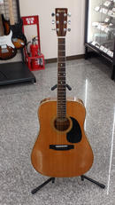 アコースティックギター|MORRIS