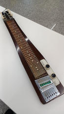 スティールギター|TEISCO