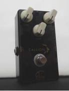 VIVIE CALLION|VIVIE
