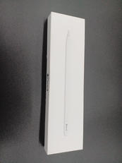 APPLE PENCIL(USB-C)|APPLE