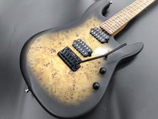 エレキギター Jason Richardsonモデル|STERLING