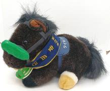 [美品]アイドルホース|AVANTI