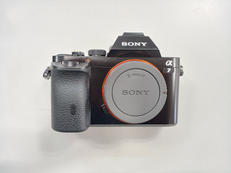 ミラーレス一眼ボディ|SONY