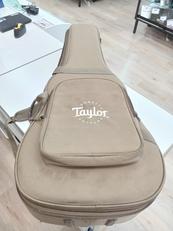 TAYLOR　ギグバック　5001-51|TAYLOR