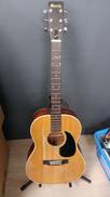 アコースティックギター|MORRIS
