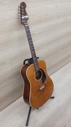 アコースティックギター|FENDER